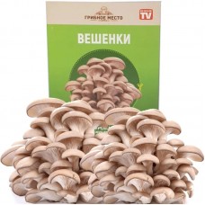 Грибное Место