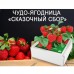 Сказочный Сбор - чудо-ягодница