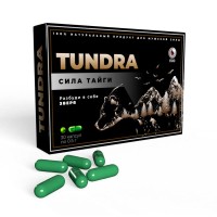 Тундра