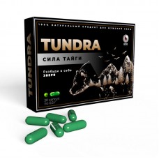 Тундра