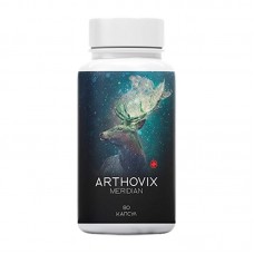 Arthovix Meridian